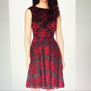 Tahari Burnout Velvet Fit & Flare Party Dress
